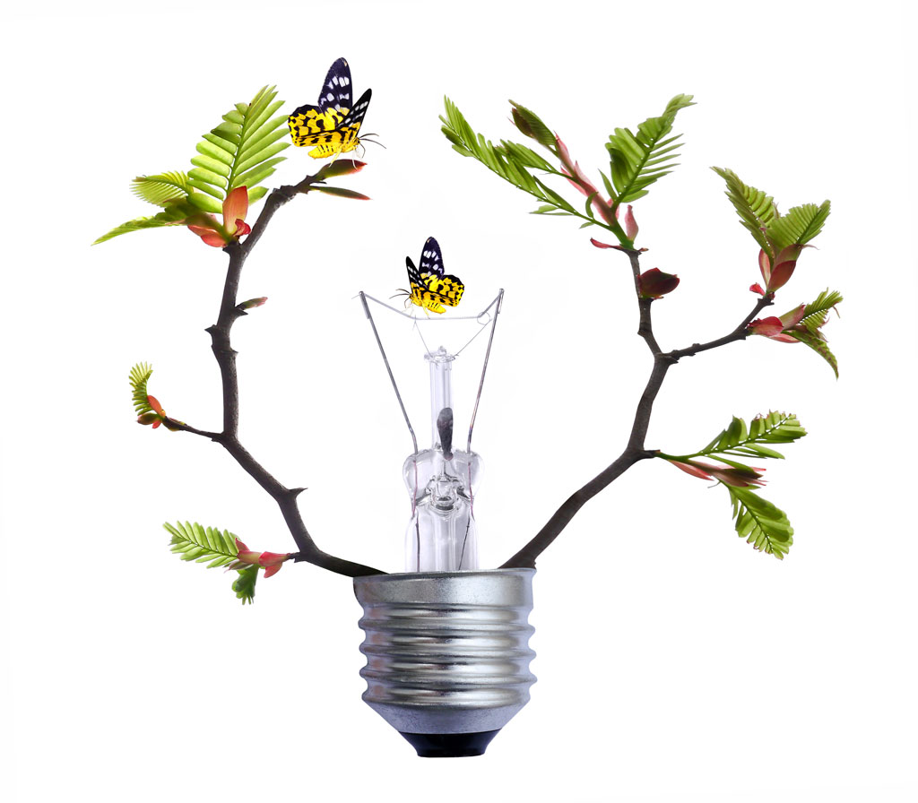 Cotonea erzeugt Überschuss an regenerativer Energie